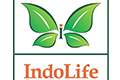 INDOLIFE INDUSTRIES