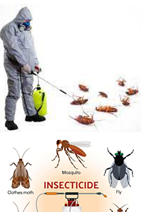 Insect Control