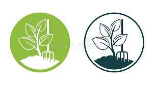 Organic Fertilizer