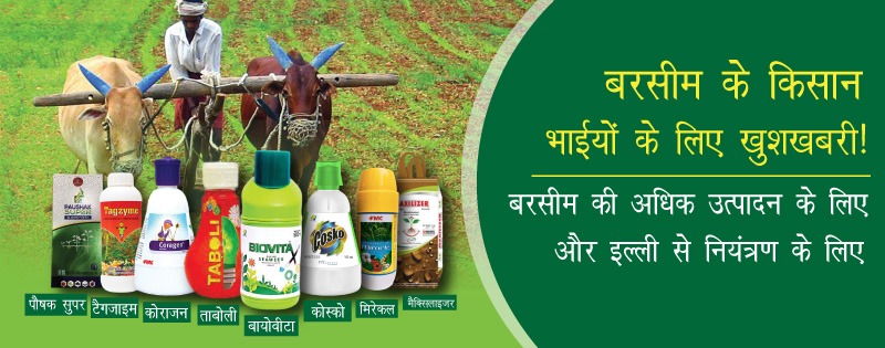 Plant Care promo